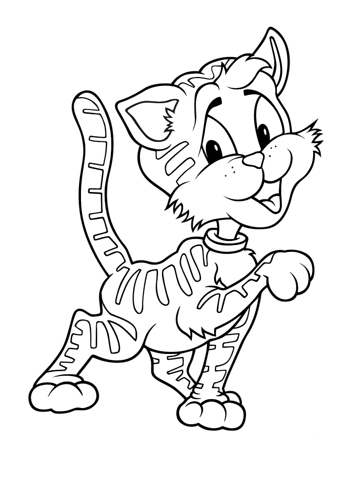 Cat Coloring book for kids